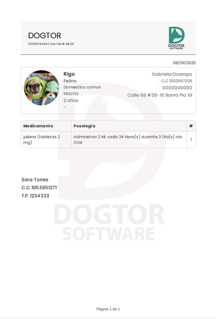 Envía formatos personalizados 