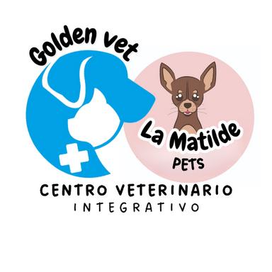 Golden vet y la Matilde pets centro veterinario integrativo